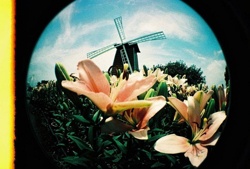 Lomographic