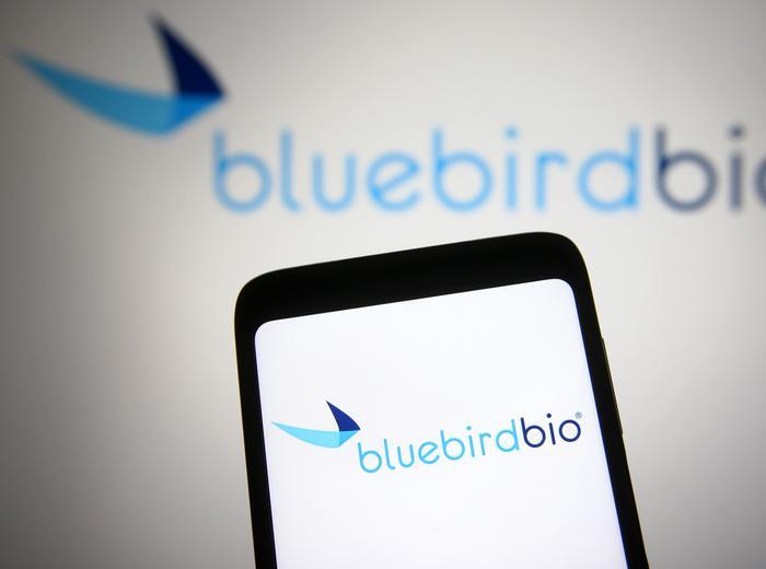ブルーバード・バイオ、3000万ドルで自社を売却