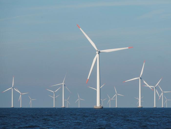 トランプ政権のエネルギー政策が再生可能エネルギーに影響