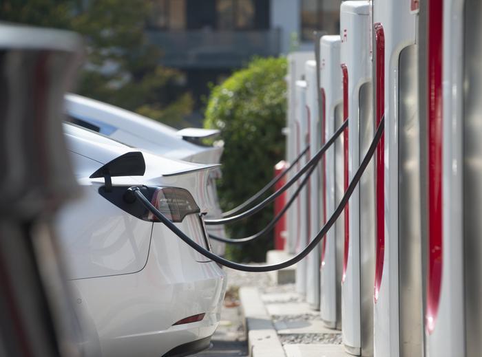 金融市場で反発の兆しを見せる株式たち