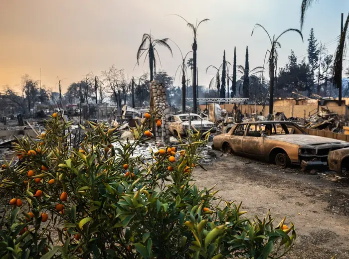 カリフォルニアの山火事による損失、欧州企業に35億ドルの影響