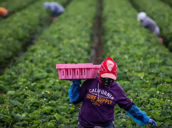 アメリカ合衆国の移民政策に関する重要な動向とは