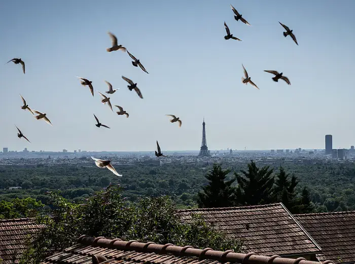 フランス株式市場が急落、政府への不信任投票の影響
