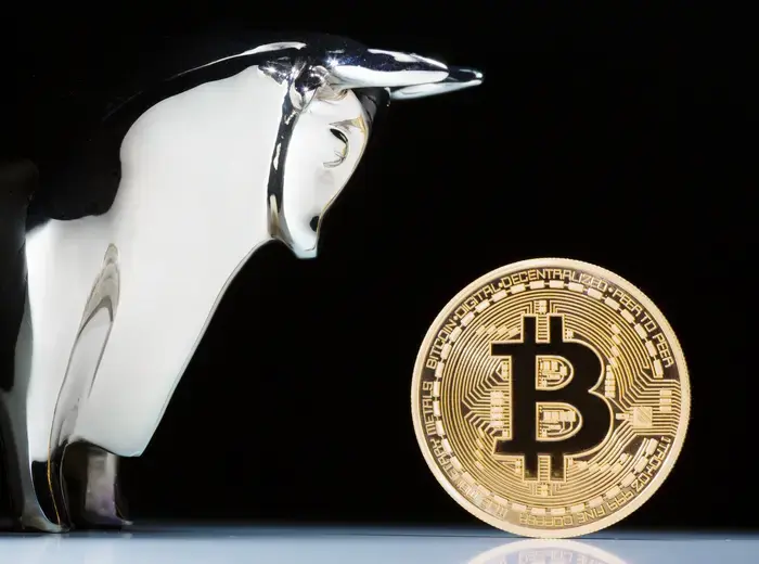 暗号通貨市場の機関投資家の影響とは