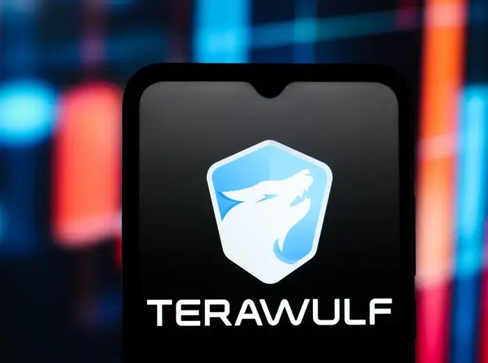 テラウルフ株価急騰、グーグルの支援が背景に