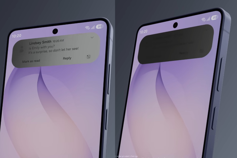 Privacy Display 「局部遮蔽」