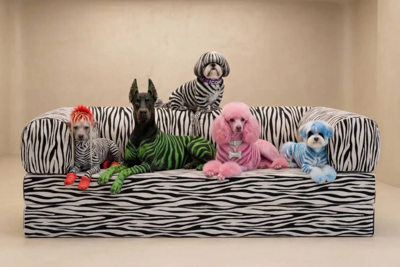 OMHU 跨越常規!全新限量版 TEDDY 沙發以 Zebra 紋料挑戰家居設計界