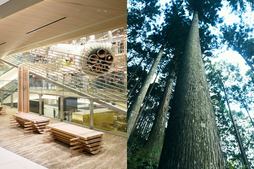 GINZA SIX打造A Tree三年企劃,從一棵樹看見家具與建築的誕生過程