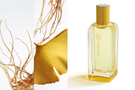 Hermès Ginseng Biloba帶來全新木質香調,人參與銀杏碰撞細膩層次