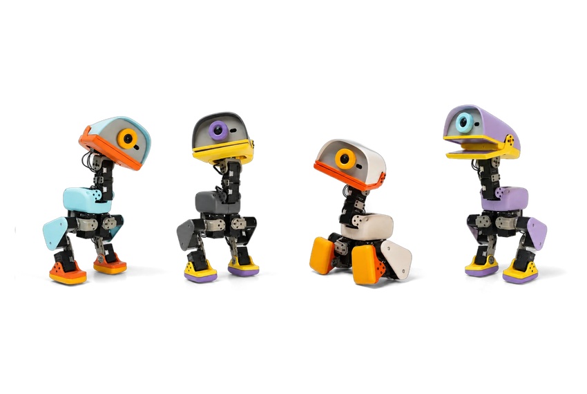 四隻不同配色的 Microduck 機械鴨