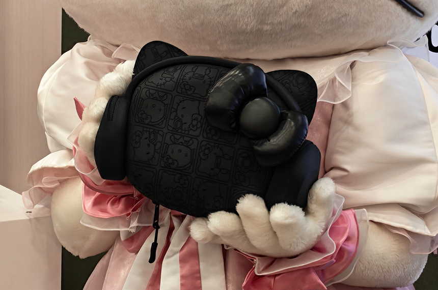 Hello Kitty Carrying Case 設計細節
