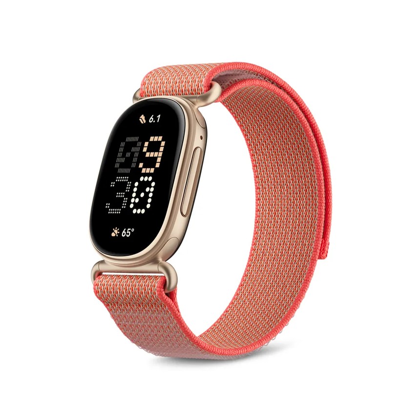 Fitbit Edge Canyon 配 Performance Loop 錶帶
